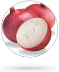 Onion Fresh
