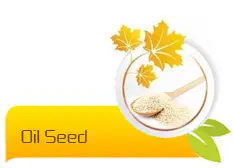 oil-seed