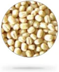 Urad Dal Gota
