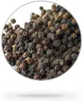 Black Pepper